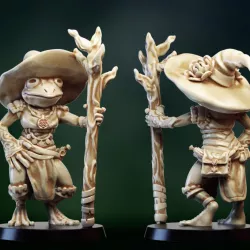 Frogfolk girl mage