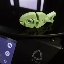 Gap test-fish