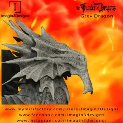 $12.00Hayiz'kathix -Demon of the Mist- The Grey Dragon