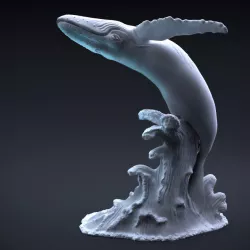 $12.00Humpback whale jumping
