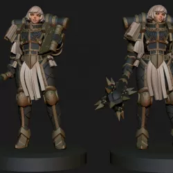 $15.00Lorgar anime figurine 3D print model