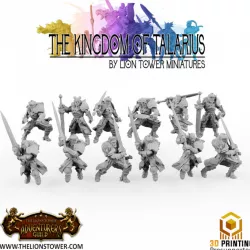 $18.00Kingdom of Talarius - Kingsguard Greatswords- 32mm Presupported