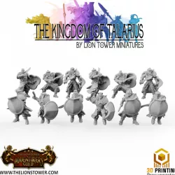 $18.00Kingdom of Talarius - Kingsguard Shieldguard- 32mm Presupported