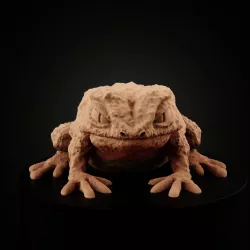 $3.00Giant Toad
