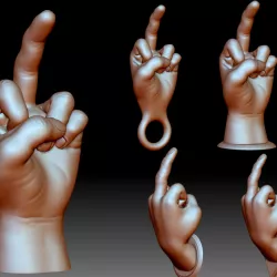 $3.00Middle finger fuck you flip off bird hand gesture 3D printable model