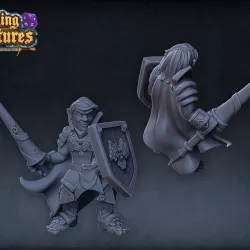 $4.00Halfling paladin