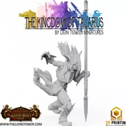 $4.00Kingdom of Talarius - Captain Abel - 32mm Presupported
