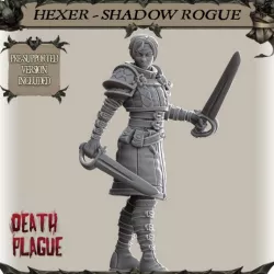 $4.99Hexer Shadow Rogue