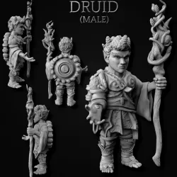 $5.00Gnome Druids (Male + Female)