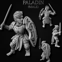 $5.00Gnome Paladins (Male + Female)