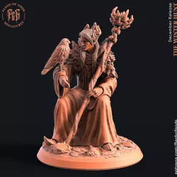 $5.00Jonik, The Elf Druid