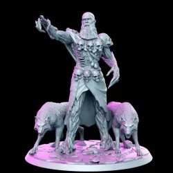 $5.00Keoghradan- Druid with wolves - 32mm - DnD