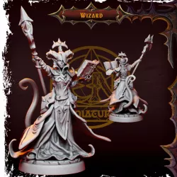 $5.00Lilnarei Darkmoon-Mid Level Infernal Wizard