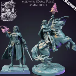 $6.99Medwyn The Warlock - Idle and Action Pose