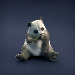 $9.00Giant Panda