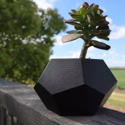 Geometric Succulent Planter