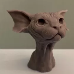 Goblin Cat