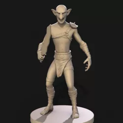 Goblin Warrior