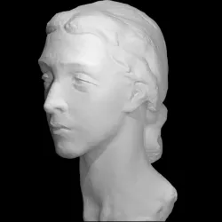Head of a Woman