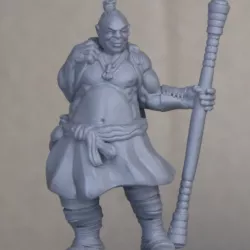 Human Monk Adventurer
