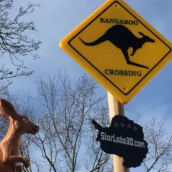 Kangaroo Crossing Sign