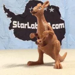 Kangaroo