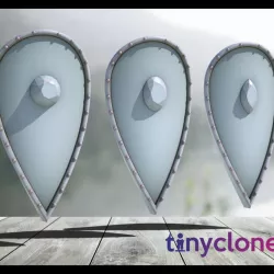 Kite shields with gem