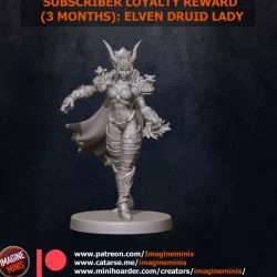 Loyalty Reward 03 Months - Elven Druid Lady