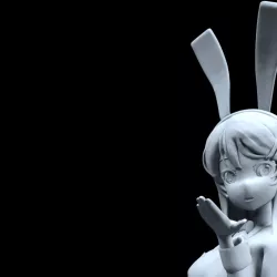 Mai Sakurajima - Rascal Does Not Dream of Bunny Girl Senpai
