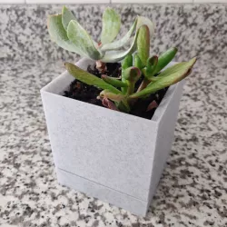 Minimal Planter with Drainage