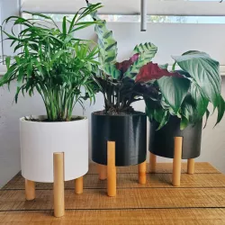 Modern Planter 4inch 6 inch