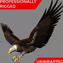 3D Bald Eagle Professionally Rigged Textured animation ready 3D model