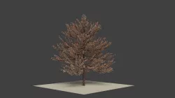 autumn tree  3D model