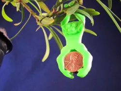 Bonsai Gibbon