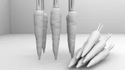 Carrot with texture 3D model