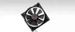 Computer Fan