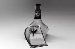 Conceptual Bottle
