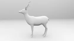 Deer 3D 3D model
