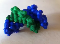 DNA molecule