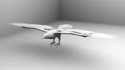  Eagle 3D model