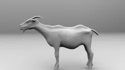 Goat 3D 3D model