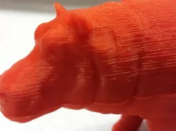 Hippo