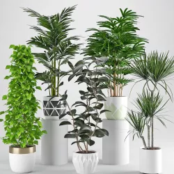Houseplant 34 3D model