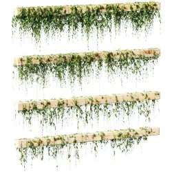 Ivy for beams or ceilings  - 4 models 3D model