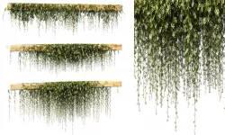 Leaves on the vine for beams or ceilings v3 3D model