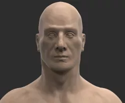 Male anatomy 3D model