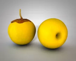 Nance Fruit Low-poly  3D model