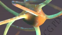 Neuron 3D 3D model