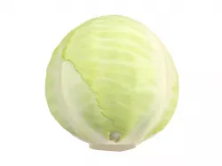 Photorealistic Cabbage 3D Scan 3D model