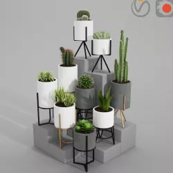 PLANT MODEL 3 3D model